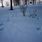 20100129-DSC01407