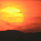 夕日に遊ぶ