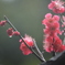 小雨ぱらつき… 3