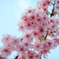 Spring is here