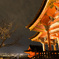 花灯路・清水寺2