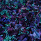 PSX_20150108_121524