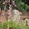 白野江植物公園