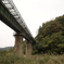 橋