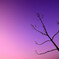 notitle