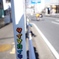 面白いステッカー