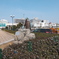 DSCF1248