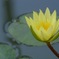 水面の彩り…４