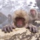 Hot Spring