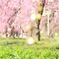 緑が引き立てる
