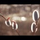soft to the touch #2