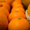 和歌山の柑橘類達！