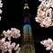 河津桜に囲まれて