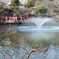 1月　つぼみと噴水