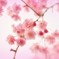 ふわり。。。