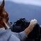 camera dog -2