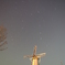 星降る夜に
