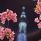 桜とスカイツリー2015_2