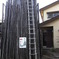RIMG1318