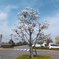 DSCF1282