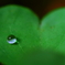 Heart drop.