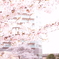 桜のある風景