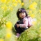 菜の花畑