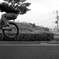 BunnyHop!