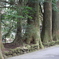 久しぶりの箱根神社