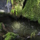 green water