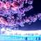 桜見ながらナイアガラ