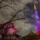タワーと夜桜