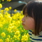 菜の花どんなにおい？