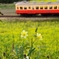 小湊鉄道3