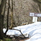 三重県　藤原岳　八合目付近