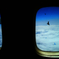 sky002