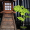 Kyoto
