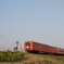 201503いすみ鉄道３