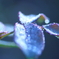 Art of rain Pt10