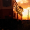 小湊鉄道　夕日あびて