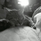 DSC00595