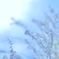 「春の日差しの中で」