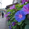 naoshima4