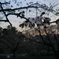夕方