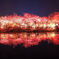 アーリー夜桜＊４