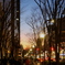 夕暮の街