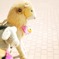 君と遊びたい