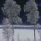 冬の白樺湖