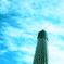空に向かって