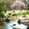 花咲き水温む